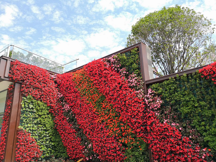 圖片9.png 圖片9.png