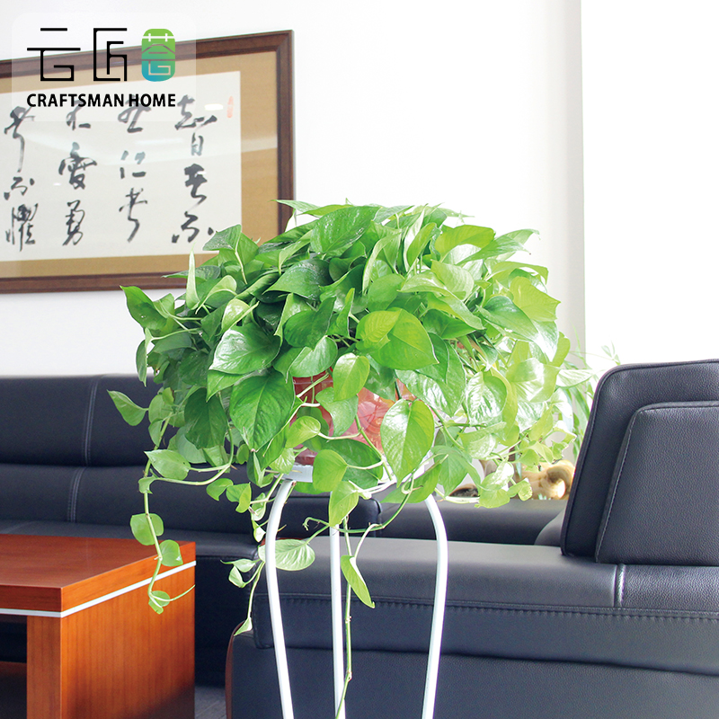 圖片3.png 圖片3.png