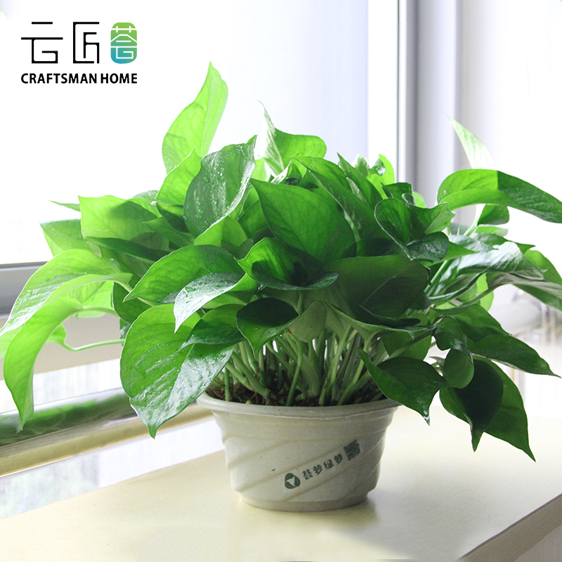 圖片4.png 圖片4.png