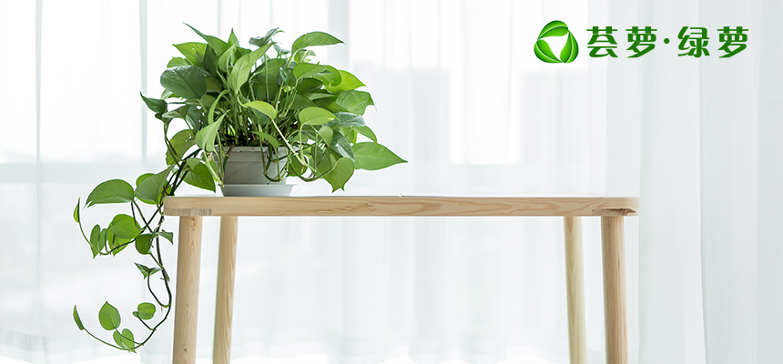 圖片6.png 圖片6.png