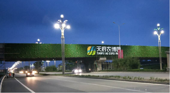 圖片11.png 圖片11.png