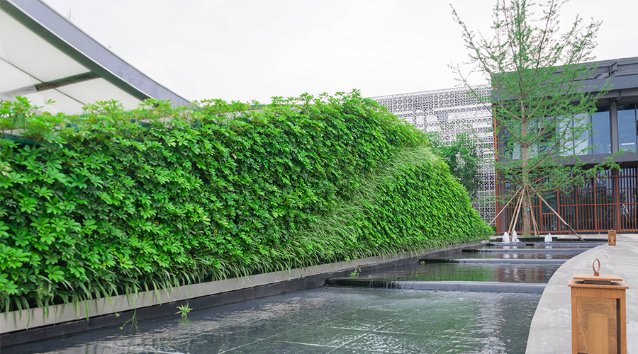 圖片3.png 圖片3.png