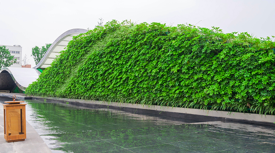 圖片2.png 圖片2.png