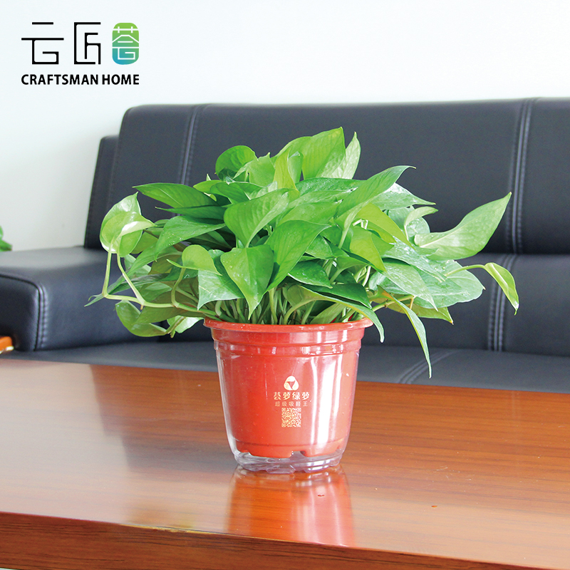 圖片5.png 圖片5.png