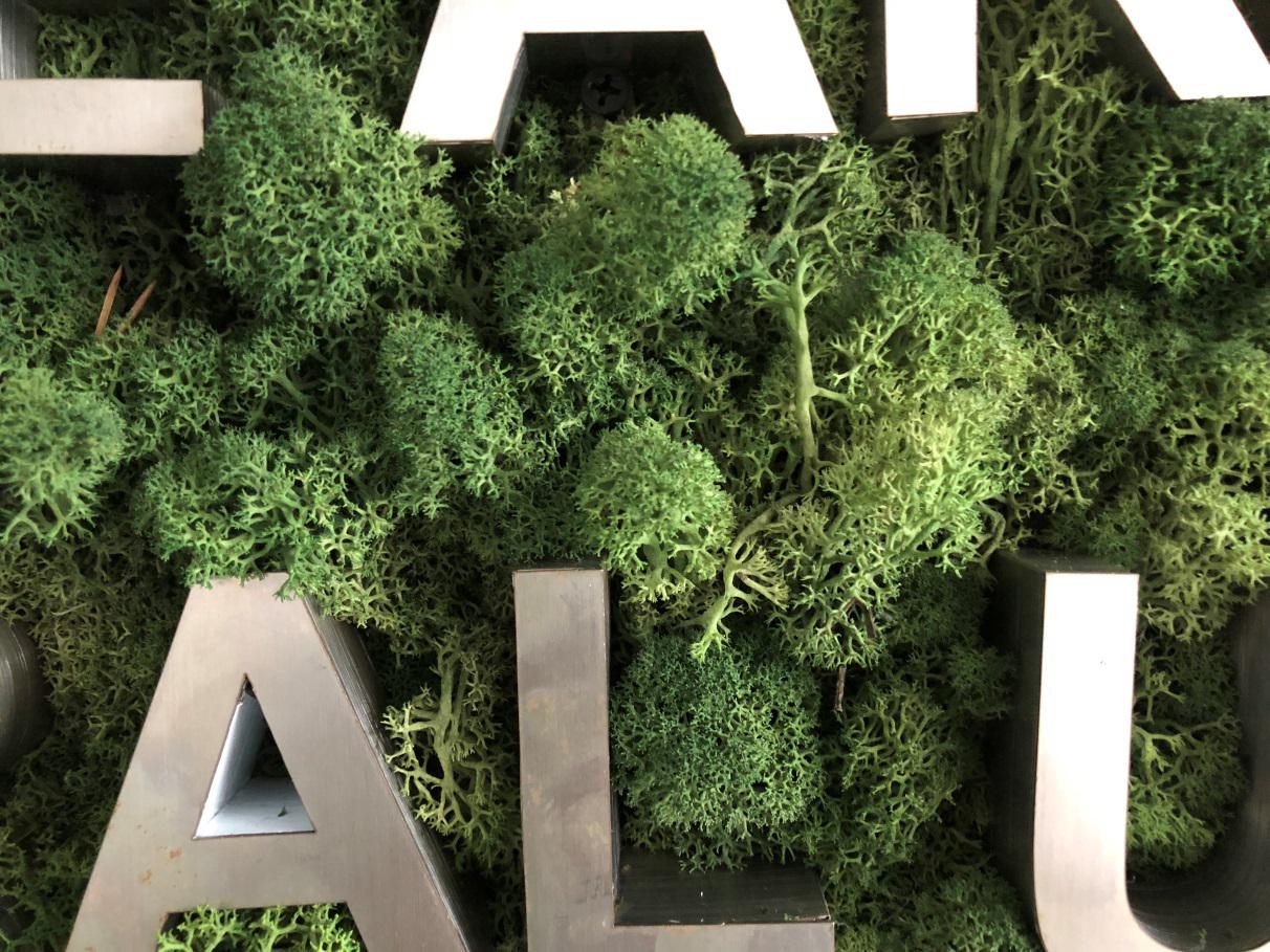 圖片5.jpg 圖片5.jpg