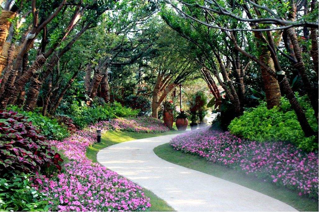 圖片4.png 圖片4.png